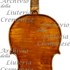 1672Violino c.jpg