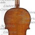 1673Violino2 c.jpg