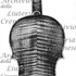 1673ViolinoMintzer c.jpg