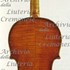 1674cViolino c.jpg