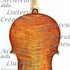 1674ViolinoMitchel c.jpg