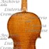 1675cViolino3 c.jpg