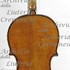 1675cViolino c.jpg