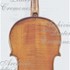 1676Viola c.jpg