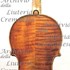 1677Violino c.jpg