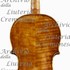 1680cViolino7 c.jpg