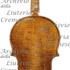 1680cViolino8 c.jpg