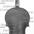 1682Violino c.jpg