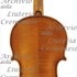 1684Violino2 c.jpg