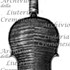 1684ViolinoDucaEdimbugo c.jpg