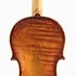 1685cViolino c.jpg