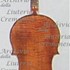 1685Violino2 c.jpg