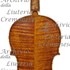 1686Violino2 c.jpg