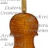 1689Violino c.jpg