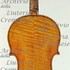 1690cViolino2 c.jpg