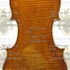 1690cViolino2 c.jpg