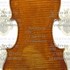 1690cViolino2 c.jpg