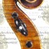 1690cViolino2 d.jpg