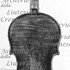 1690cViolino4 c.jpg