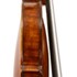 1690cViolino5 b.jpg