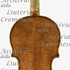 1690cViolino c.jpg