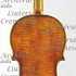 1690cViolino c.jpg