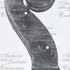 1690ViolaToscana d.jpg