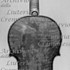 1693cViolino c.jpg