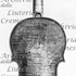 1693ViolinoCorbett c.jpg