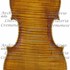 1694ViolinoIrish c.jpg