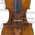 1694ViolinoIrish a.jpg