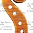 1694ViolinoMuir d1.jpg