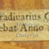 1694ViolinoMuir e.jpg