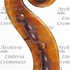 1694ViolinoRutson d.jpg