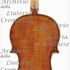 1695cViolino c.jpg