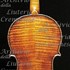 1695cViolino c.jpg