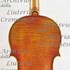 1696Violino2 c.jpg