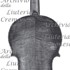 1699-1741Violino c.jpg
