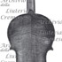 1699-1741Violino c.jpg