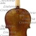 1700cViolino6 c.jpg