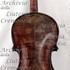 1700cViolino c.jpg