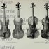 1700cViolino Jo Juma g.jpg