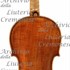 1700cViolinoBlagrove c.jpg