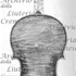 1700cViolinoJupiter c.jpg
