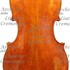 1700Violoncello c.jpg