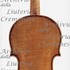 1703Violino3 c.jpg