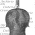 1705Violino c.jpg