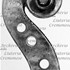 1709ViolinoNachez d.jpg