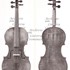 1710cViolino g1.jpg