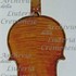 1710cViolino c.jpg